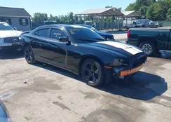 2C3CDXCT3EH283596: 43059244