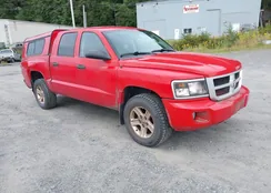 1D7RW3GK7BS623370: 43063390