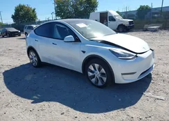 7SAYGDEEXPA149053: 43063456