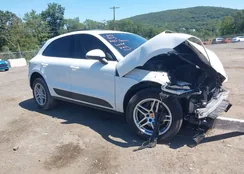 WP1AA2A51MLB02773: 43063983