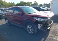 KM8J3CA44KU857007: 43064152