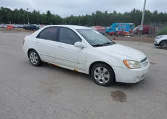 KNAFE121565356203: 43069686