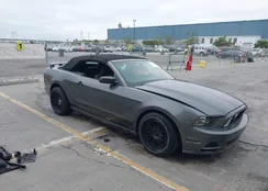 1ZVBP8EM3E5217709: 43071673