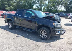 1GCGTCEN1K1106241: 43085316