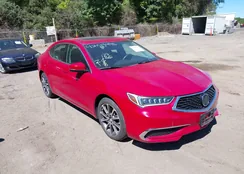 19UUB2F37KA005185: 43085861