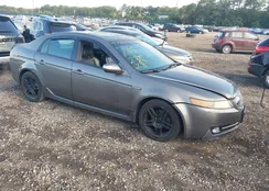 19UUA66278A042294: 43086079