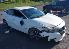 1N4AA6AP2HC403798: 43087525