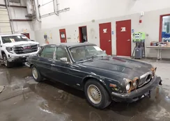 SAJAV1346FC416069: 43087536