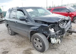 5FNYF18695B062876: 43091237