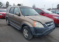 SHSRD78844U247679: 43091474