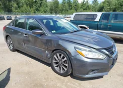 1N4AL3AP6HC222891: 43092653