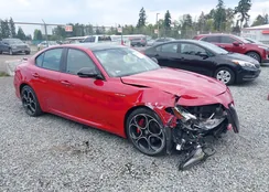 ZARFAMBN7N7653999: 43095495