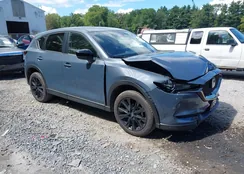 JM3KFBCM6M0485517: 43096103