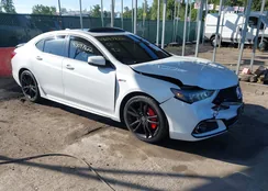 19UUB1F66KA005294: 43097822