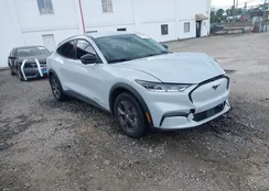 3FMTK1R4XPMA96533: 43099958