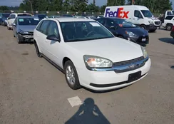 1G1ZT64855F183054: 43101138