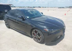 ZARFAMBN9R7677677: 43103122