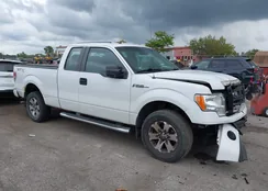 1FTFX1EF6DFE00835: 43105312