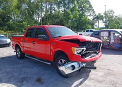 1FTFW1CF0BKD09571: 43108481