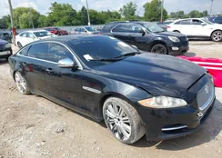 SAJWJ2GD8D8V47764: 43113369