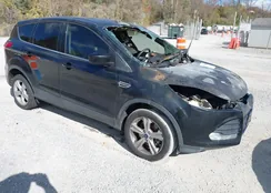 1FMCU9GX5EUA39445: 43112827