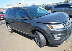 1FM5K8D85HGD33937: 43113919