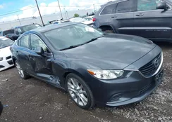 JM1GJ1V65E1132669: 43116122