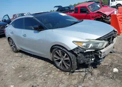 1N4AA6AP5GC425213: 43116947