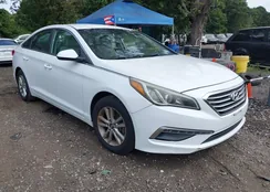 5NPE24AF4FH064662: 43117690