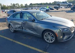 1G6DJ5RK3L0149266: 43117717