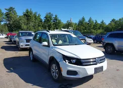 WVGBV7AX1GW549465: 43121118