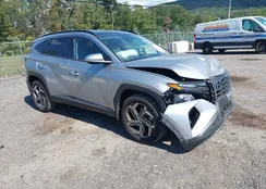 5NMJECDE3RH390604: 43122766