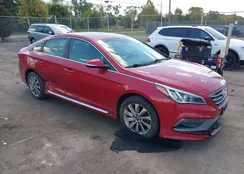 5NPE34AF1HH524439: 43128322