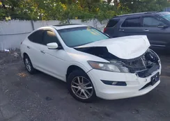 5J6TF1H33CL002516: 43128534