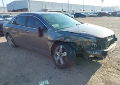 1G1ZD5EU5BF256289: 43130364