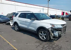 1FM5K8D86HGD05807: 43132998