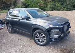 5NMS53AD1LH208504: 43135448