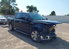 1FTEW1CP1LKE79055: 43136095