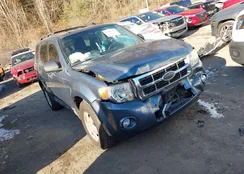 1FMCU0DGXAKD30108: 43137102