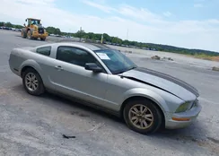 1ZVFT80N265260274: 43139061