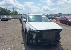 5NMS2CAD6KH128817: 43140291