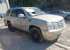 1GYS4CEF1BR160800: 43146341