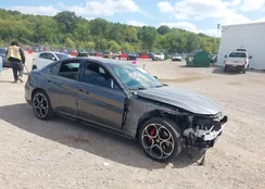 ZARFANBN5N7663713: 43154771