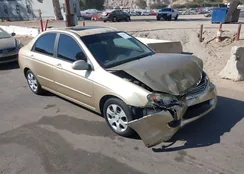 KNAFE222595655564: 43156333