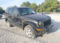 1J4GL58K53W693779: 43157366