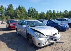 JTHBA30G255078566: 43157565