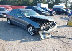 WDBTJ56JX6F192331: 43157931