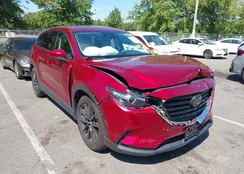 JM3TCBAY6P0659982: 43159744