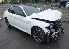 ZARFANBN1N7654460: 43162442