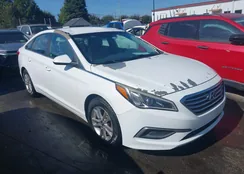 5NPE24AF2GH405638: 43165135